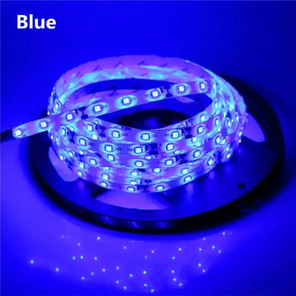 2835 SMD led streifen licht DC12V 5M 300LEDs flexible band band beleuchtung Weiß Warm weiß Rot Grün Blau gelb Rosa RGB       PST PS Tradings